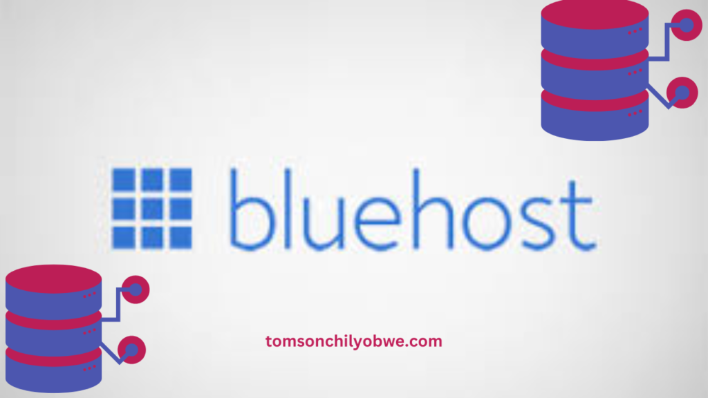 Blue Host customer service